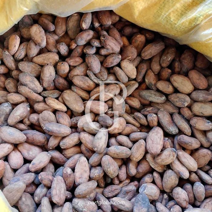 حبوب كاكاو خام - ساحل العاج
